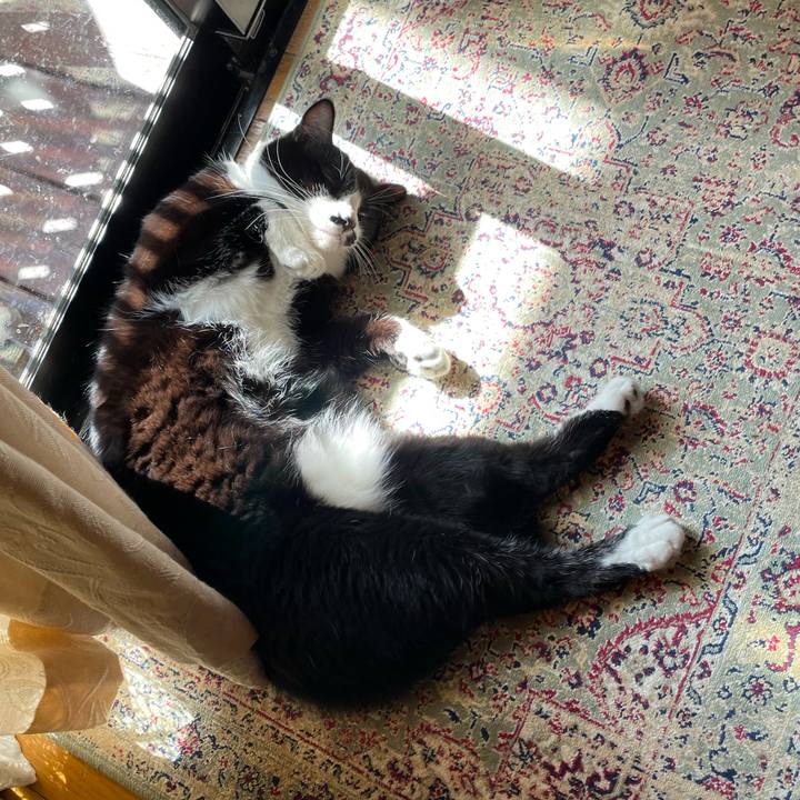 53a63a3e 127d 4d38 b354 17a40dd4c5fb 1728693749533