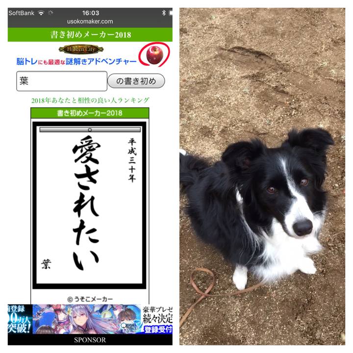 53a63fbc 0e6e 4425 8cdf a63c1435ebd0 1515049798410