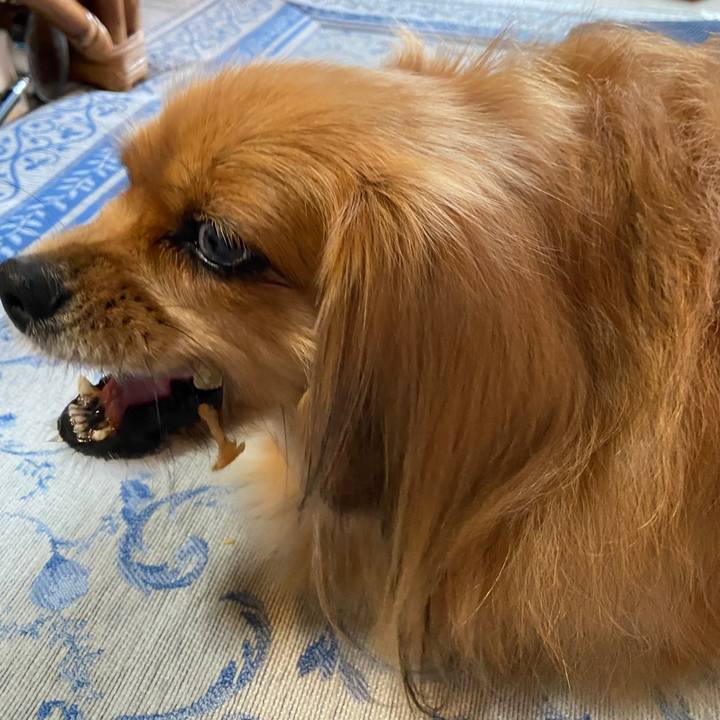 53a64a28 3361 40fa 8868 f06fc9acad74 1633296384438