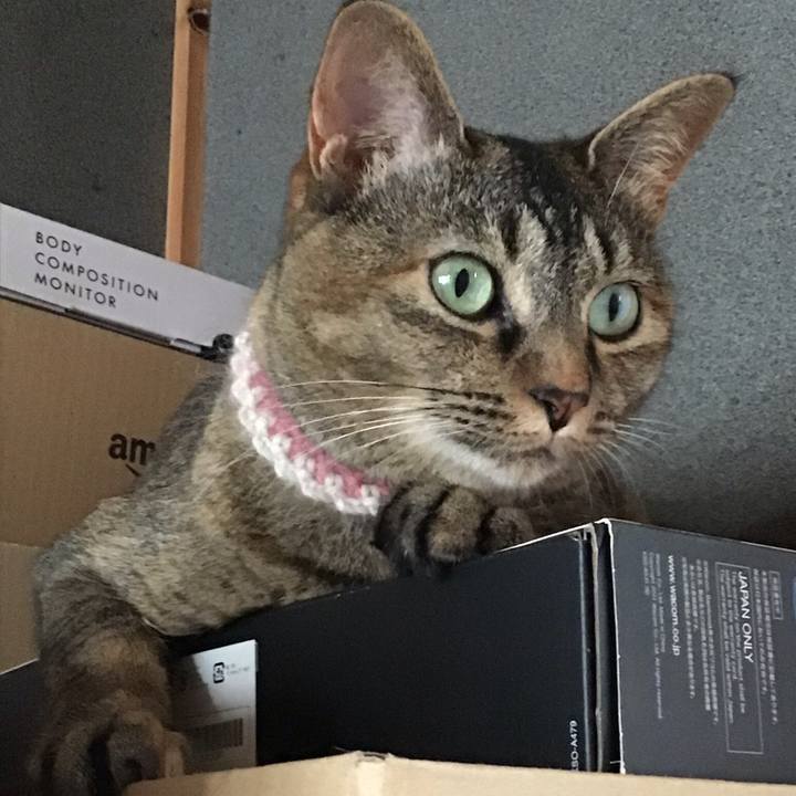 53a650c3 74c6 4256 a335 919de3fd6829 1658313344010