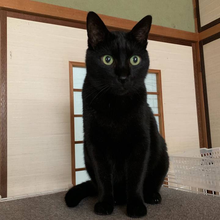 53a674f4 3fbd 4220 a38a 052726571c53 1549849454791