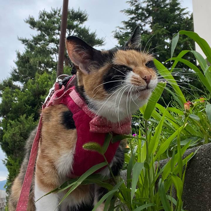 53a697f3 fa24 4591 8486 97192d5a77cc 1688339962374