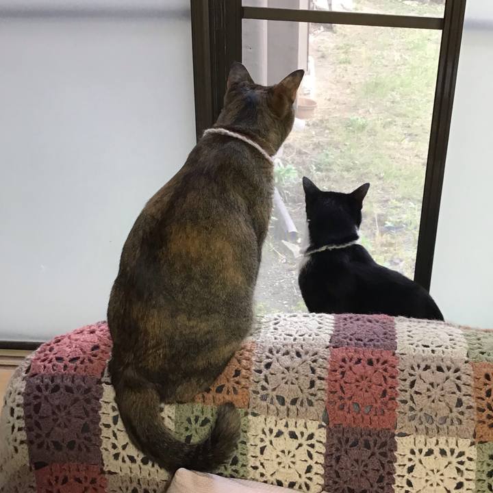 53a6c485 538b 448c b0cc 8f3ddc360057 1655629649621