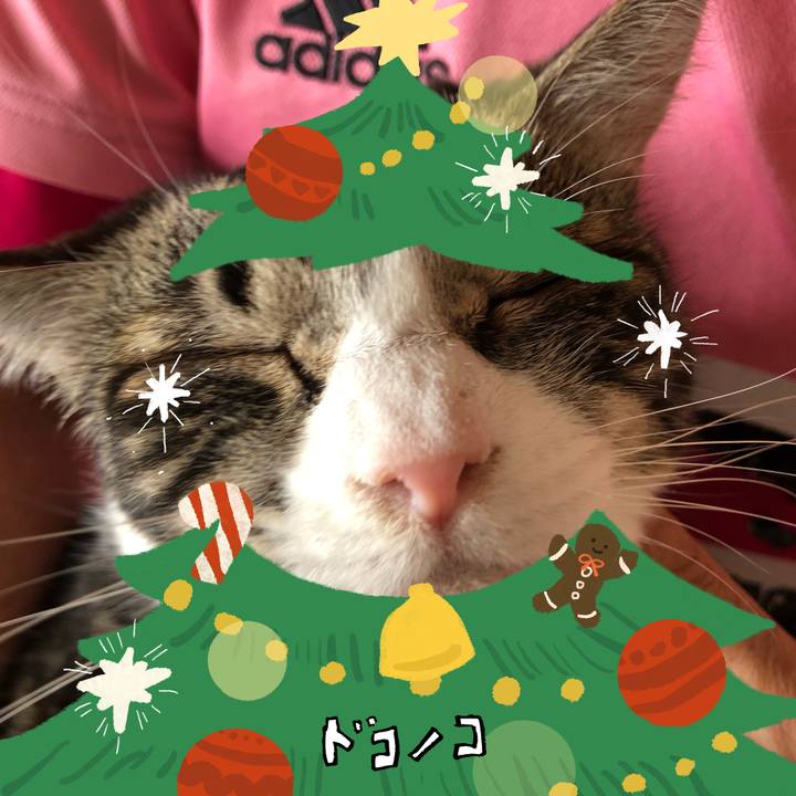 53a6ca62 282f 4efb 9883 ead77e364310 1762299764244