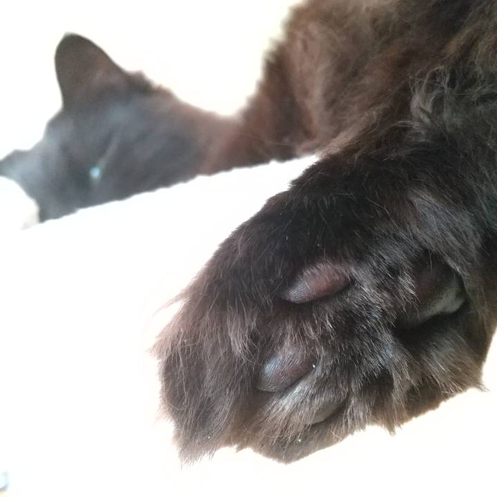 53a7149d b1da 47de a9ae 06ec7fd23694 1579398320604