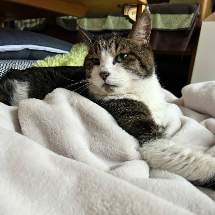 53a772e6 0e81 4a41 ab29 ce784ec48792 1766547755965