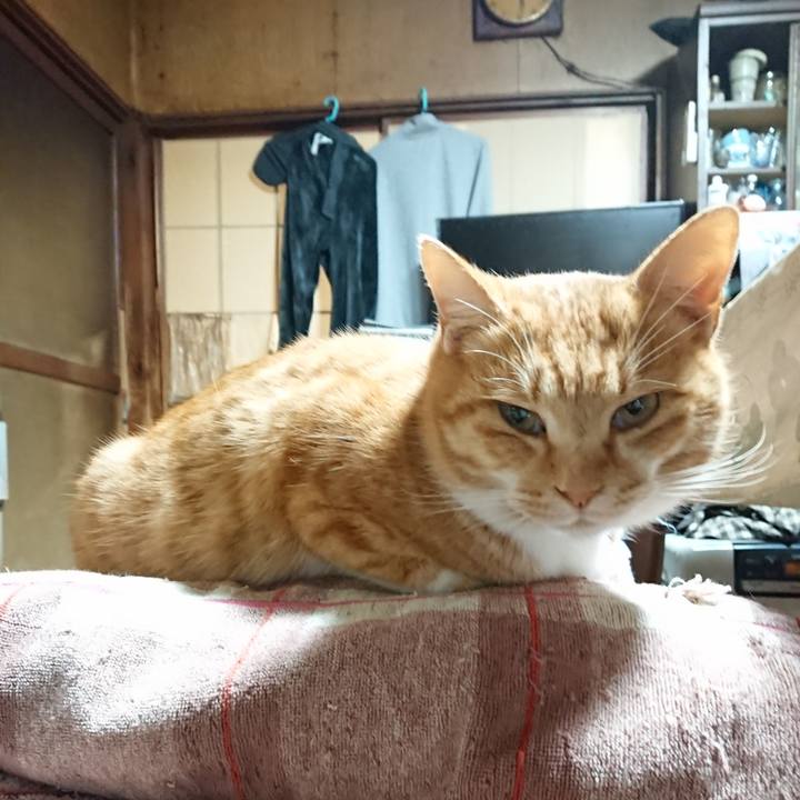 53a775f6 8c9f 4a40 a8f0 48d2545de8c3 1607286618127