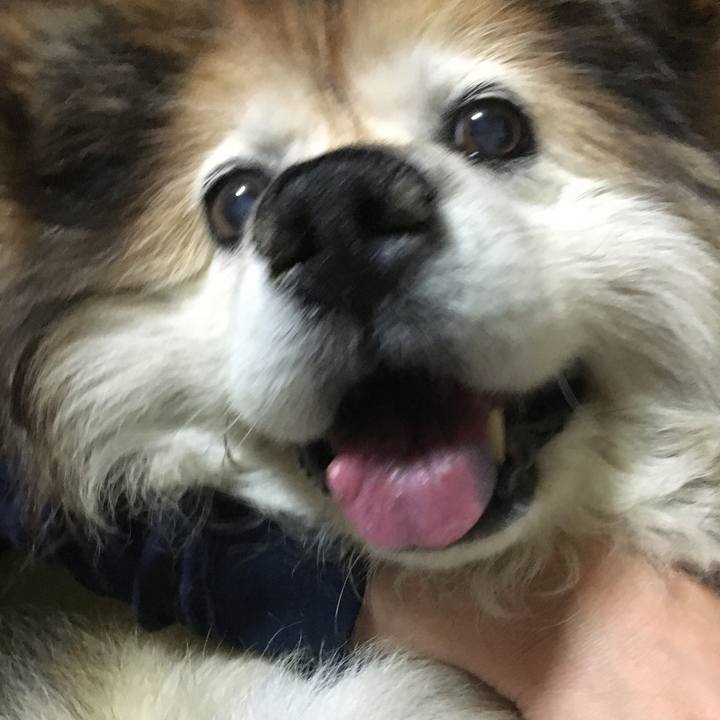 53a78a4a 3952 451b bc49 5ed429910125 1613255011382