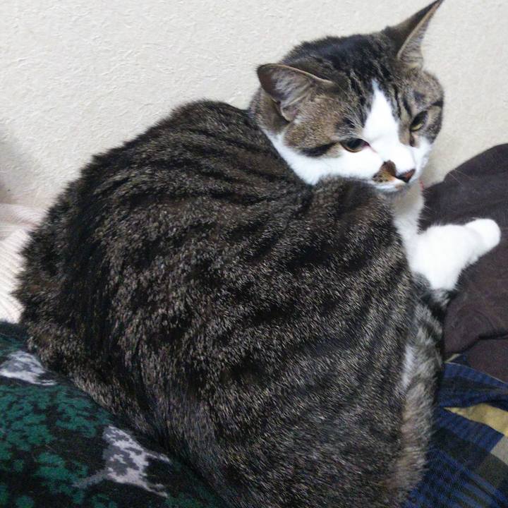 53a78def f85e 417f 9a80 98aac8d117b9 1659264714600