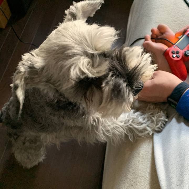 53a797d8 8ef0 4d80 8f5b 47f7a8fa9d20 1644554287183