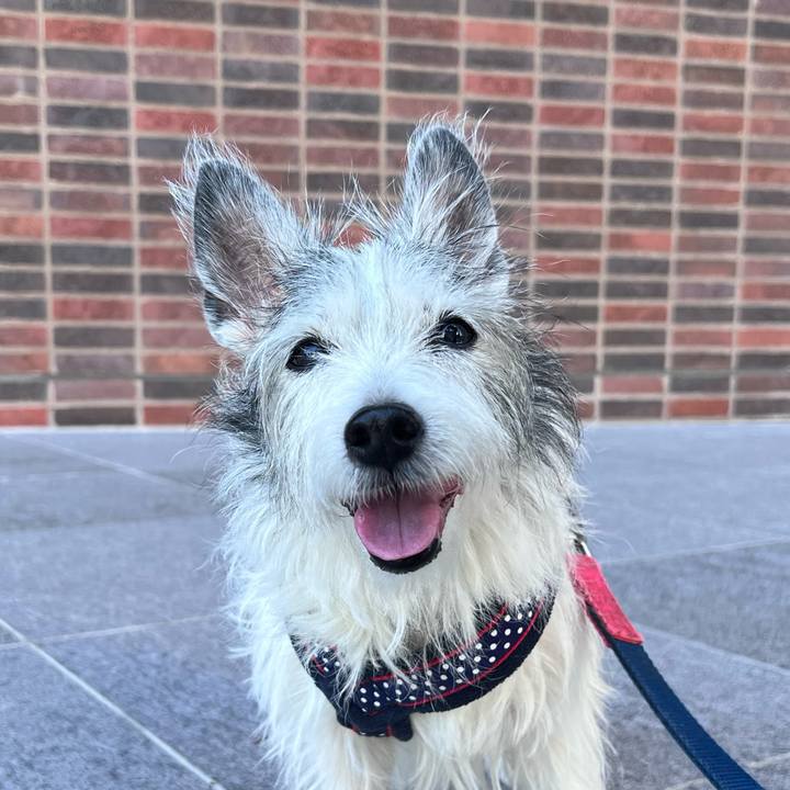 53a7b2d9 f269 4b0a 8483 462b692912da 1664708394110