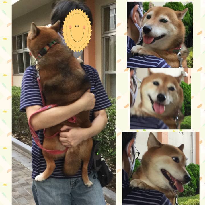 53a7f459 00d4 484c be12 58fdd7d34a6b 1597653993062