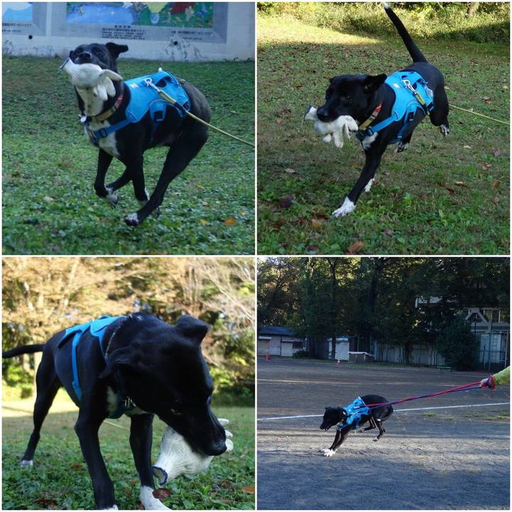 53a7f91d eb62 47bb 93ea df9324d994eb 1605312147649