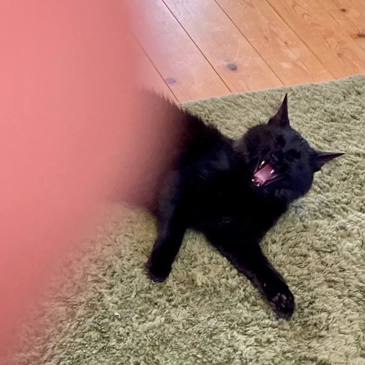 53a8121b e704 478a 8484 990e2d8db3b7 1745205602558