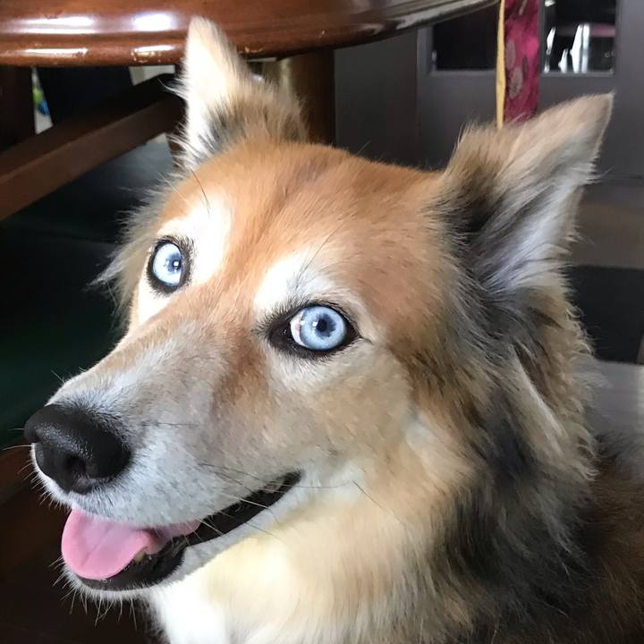 53a84351 6c52 45f1 ac77 d4acbdaa7ef5 1569146956888