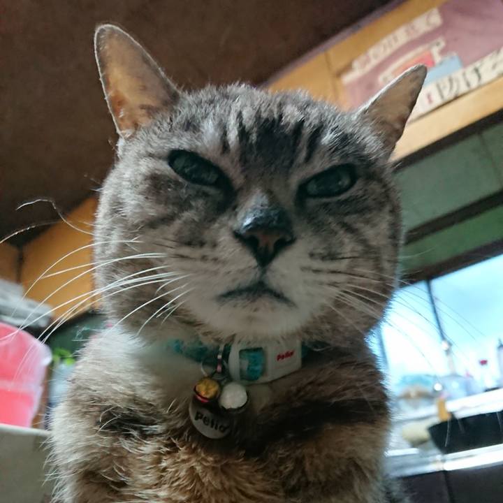 53a866d1 bc0a 4242 84de d802f2cb85ad 1559764195675