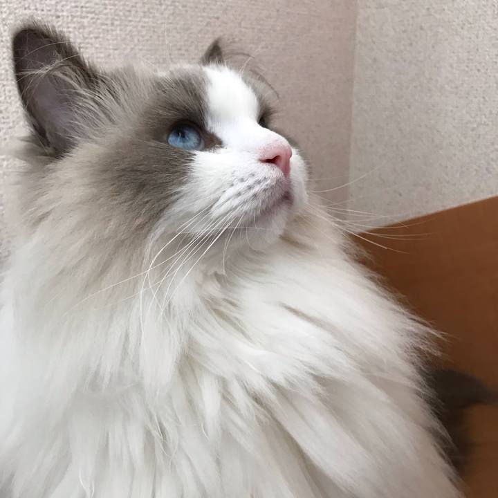 53a87bdc 1f86 4e66 bbee 2ca5d6154dd5 1576572058777