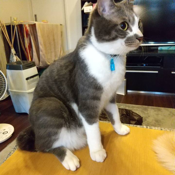 53a8ce83 9d96 46f5 8f60 9a6b77715932 1612394045590