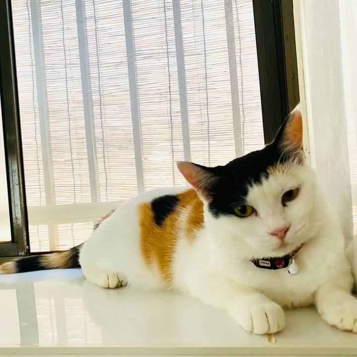 53a8ffdb 8275 4ade 8d1d a39f586838dc 1659763678057