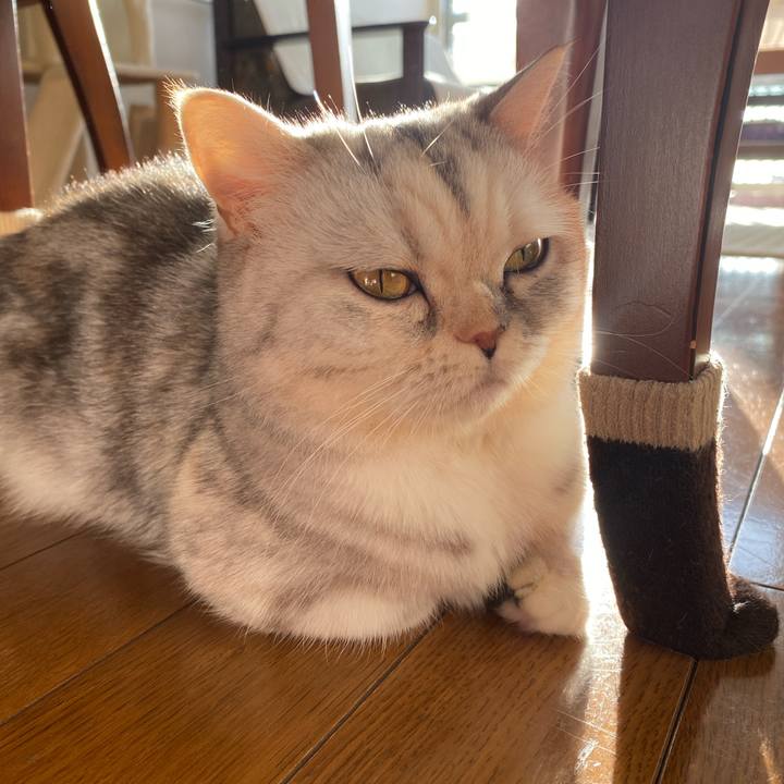 53a91a59 2d67 4dd1 9128 8d7b9529ca86 1764457538611