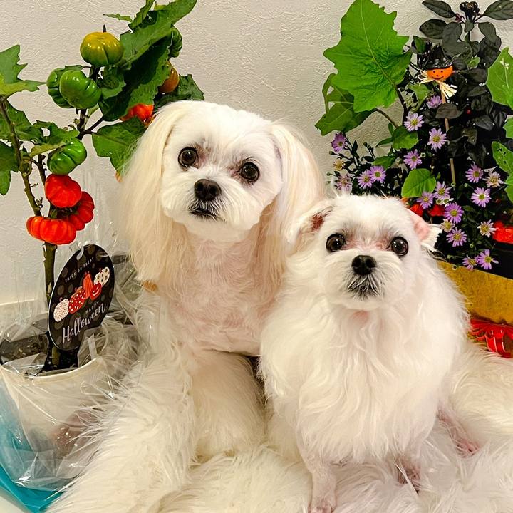 53a94cb3 6d8c 4837 a17d bf100e7d03fa 1696070725529