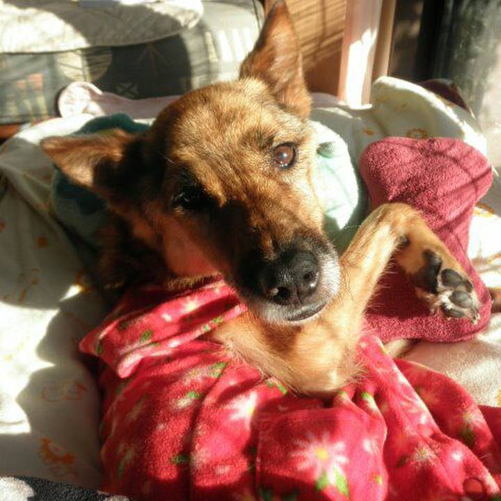 53a9637b 282a 4a63 a541 5240361f06cc 1515337295042