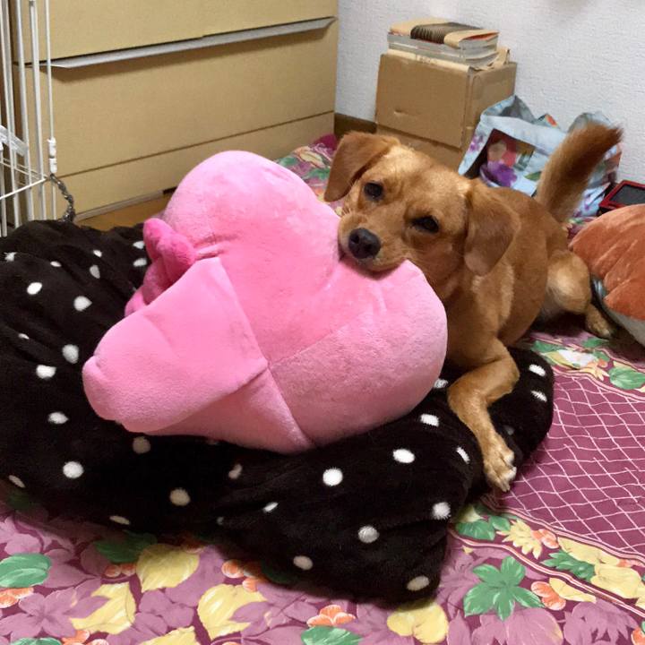 53a97487 e2be 494d 9fbe 4610189b820a 1532092184969