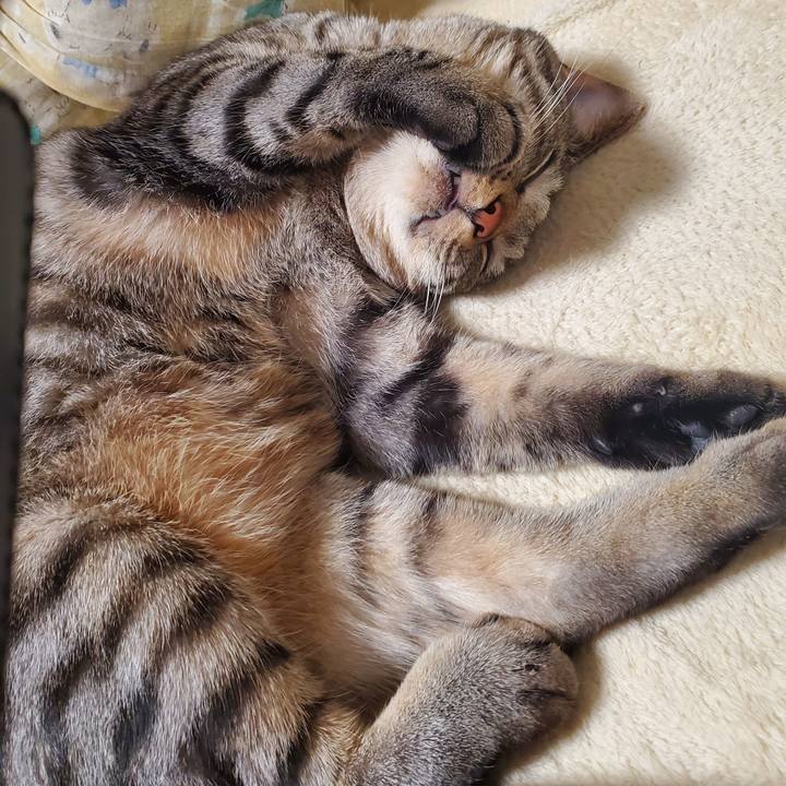 53a9828d 8a02 4dd2 ab17 48b2426544c1 1705667998465