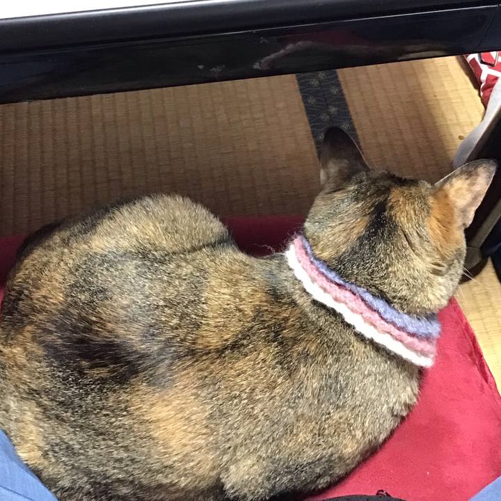 53a98e7a 4dfd 4a2e 9d49 0daf523011e6 1625106267401