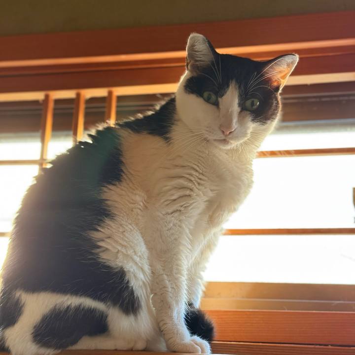 53a994f4 02da 429a 9b1e 123b46e5a40e 1730249278479