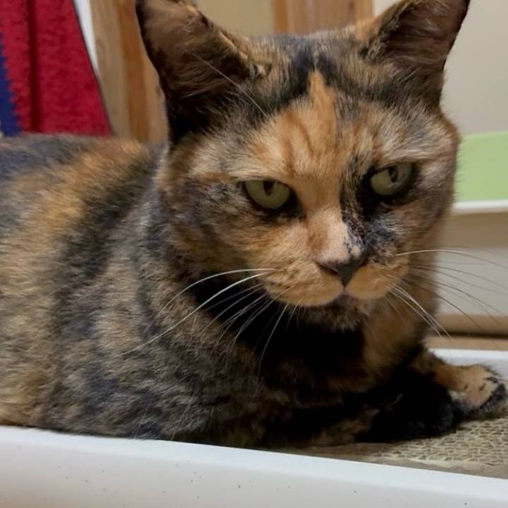 53a9cd72 b08b 4caa 9124 fb6aaf4d2cf0 1757622217347