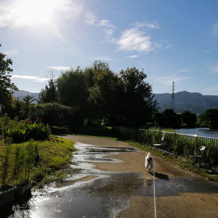 53a9d75d 2892 4eb1 be52 799750a8d78a 1626480280823