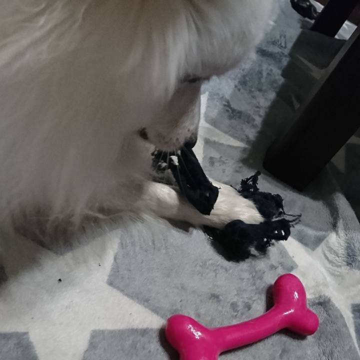 53aa0a4d 561f 45ad 9659 84f3d5128a1a 1578576343934