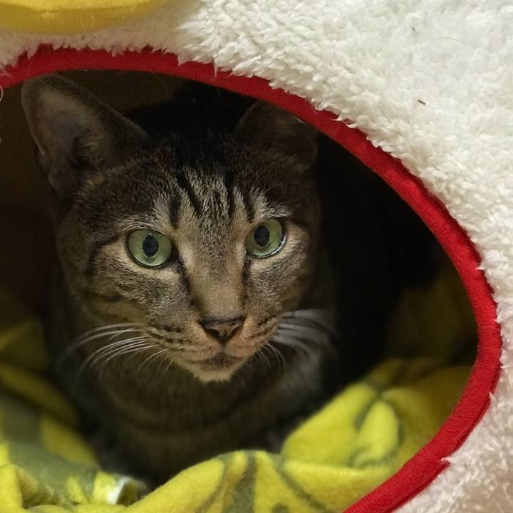 53aa13a1 1b72 40cb 9557 41cfae89fbb9 1508895615582