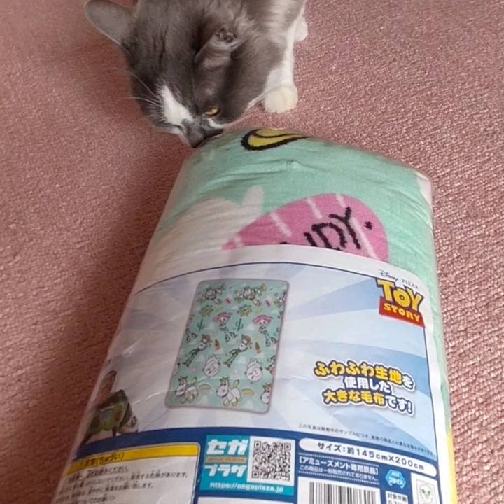 53aa68a4 ba74 496e a243 9e2dc92342de 1669619855767