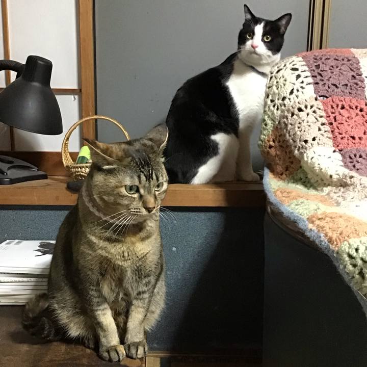 53aaac8d 8d4e 409d b4bc 7b4cd9015c31 1677502484021