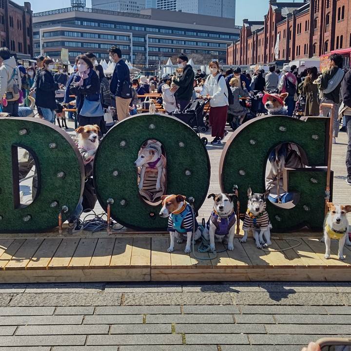 53aac6f0 370d 4ec9 9748 c6d433578578 1679226051559