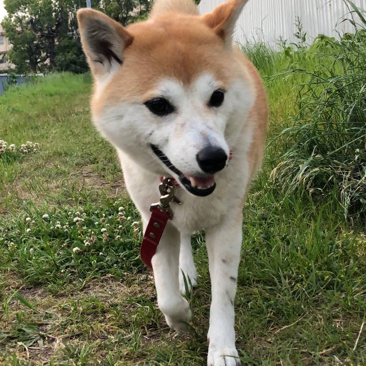 53aaeb90 214f 4a43 b588 25d037cafabe 1557743997730