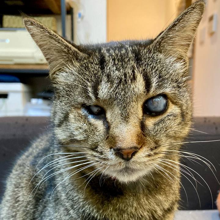 53ab17c5 c7c0 4825 aa9a 588d80e59269 1648298679110