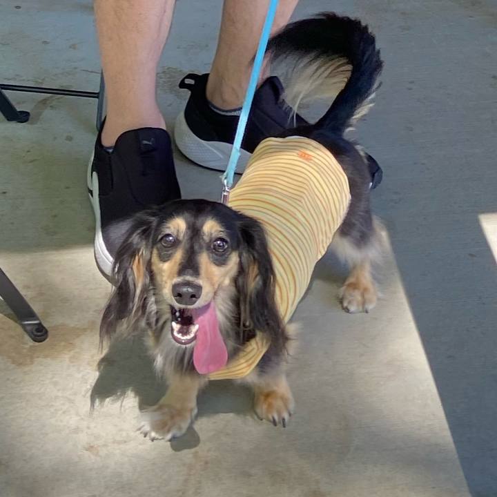 53ab2e71 e819 4bee b5a9 59e8b6ccaf5c 1752972308223