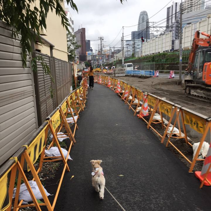 53ab4f3d 5db7 41d1 ac3a 4c31e1e99905 1537014451233