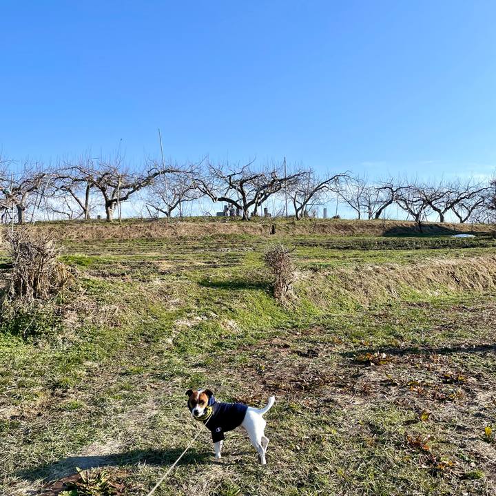 53ab50c7 8d8b 4677 a3e2 6c9ad70a27e6 1646820524225