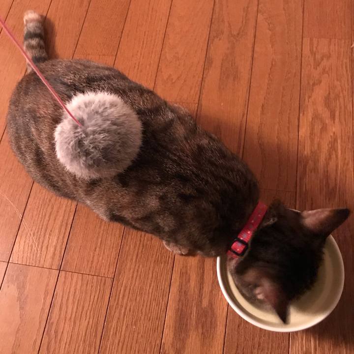 53ab596d c58c 45a8 8aa8 16e25ac7d9f3 1595933384529