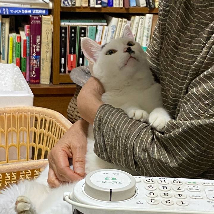 53ab6eff 8b3d 4d0a b6c8 b3fa91e2099e 1631800762413