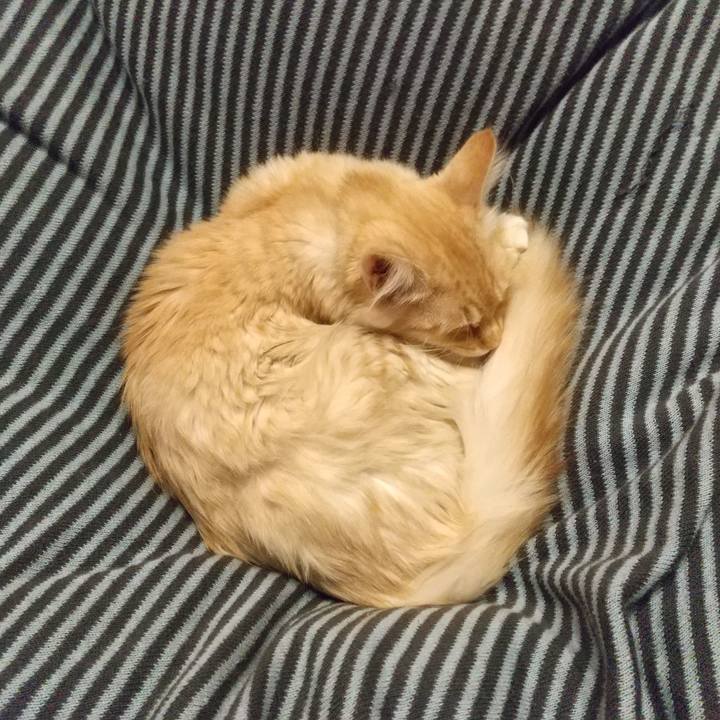 53ab7c0c ac90 4085 b483 2545352c61ec 1611754955754