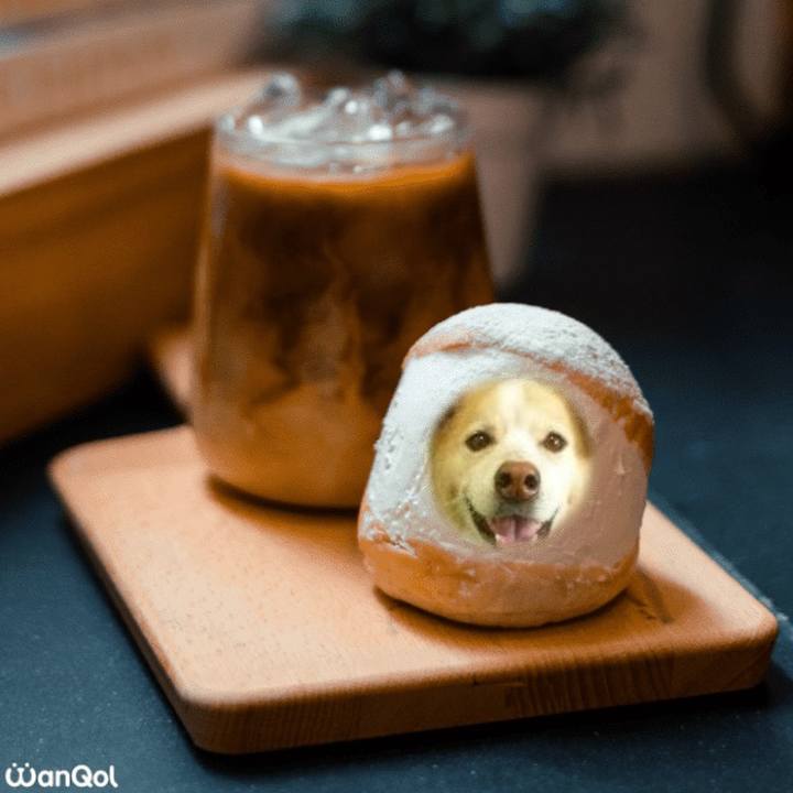 53abc2a2 8216 4ce1 a2f7 eb51b8055c40 1640945191949