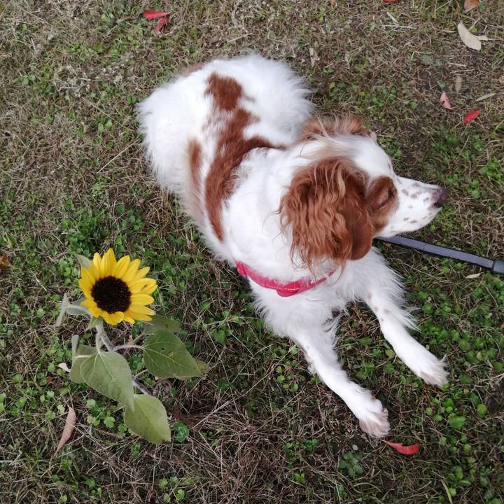 53abc2e8 920f 4929 9452 7cf5e6d603e9 1575533911852