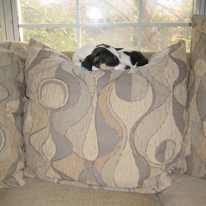 53abf1ad 61d4 4891 be15 267c65e548c6 1513721329259