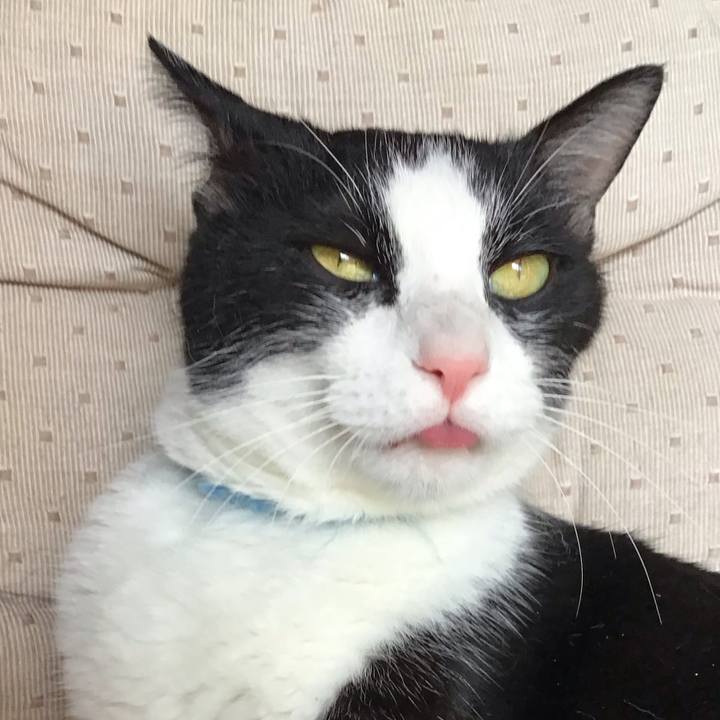 53ac41a2 b62c 4d5c 83cb 2644cedcb41f 1755949713291