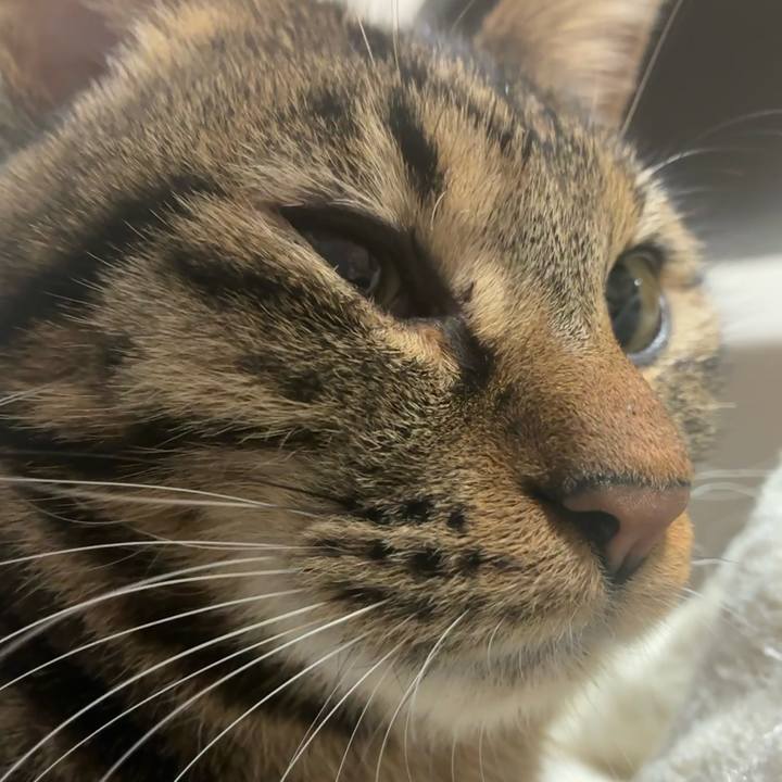 53ac6fe2 ba30 4ac7 b2a5 7b5399a7a1c5 1766181876305